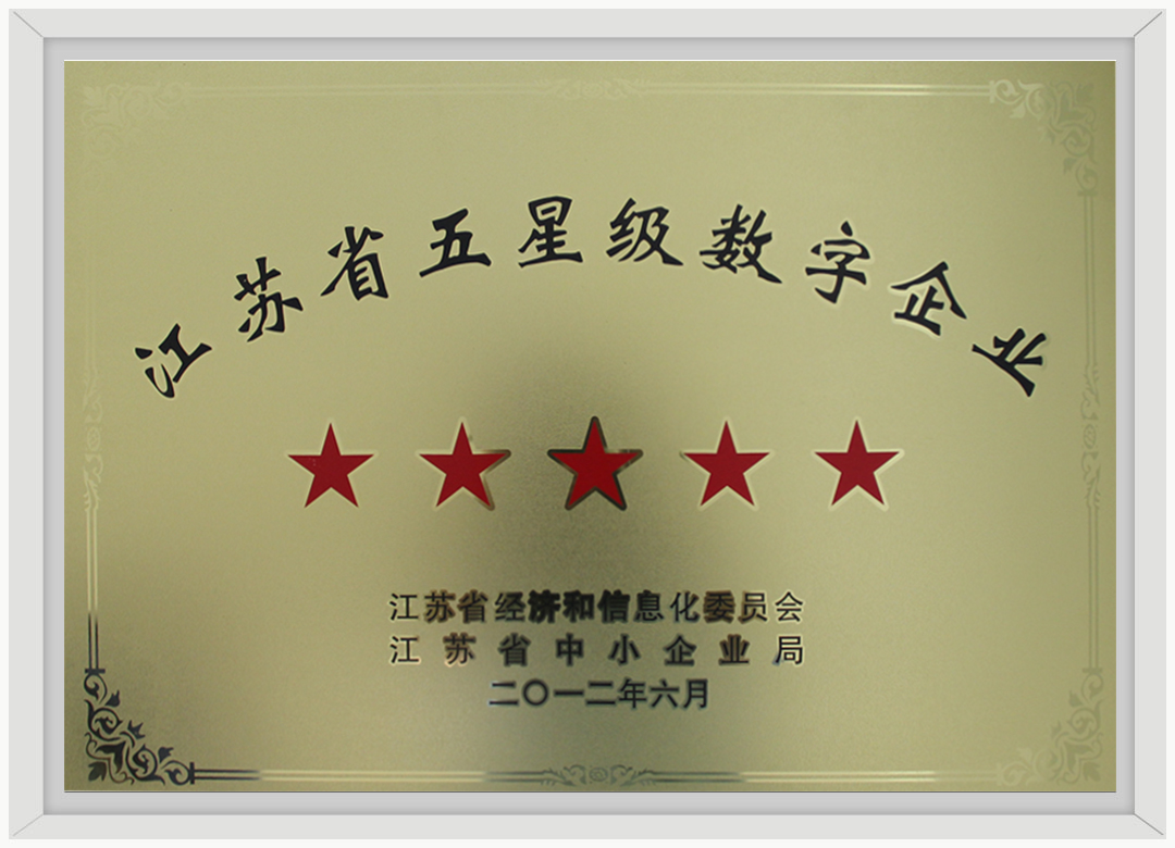 江苏省五星级数字企业